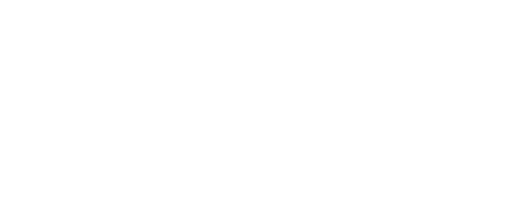 Birch Systems